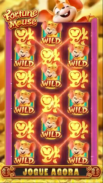 B1 bet entrar