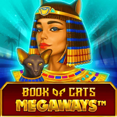 Mega box hd
